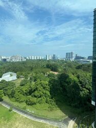Normanton Park (D5), Apartment #460392771